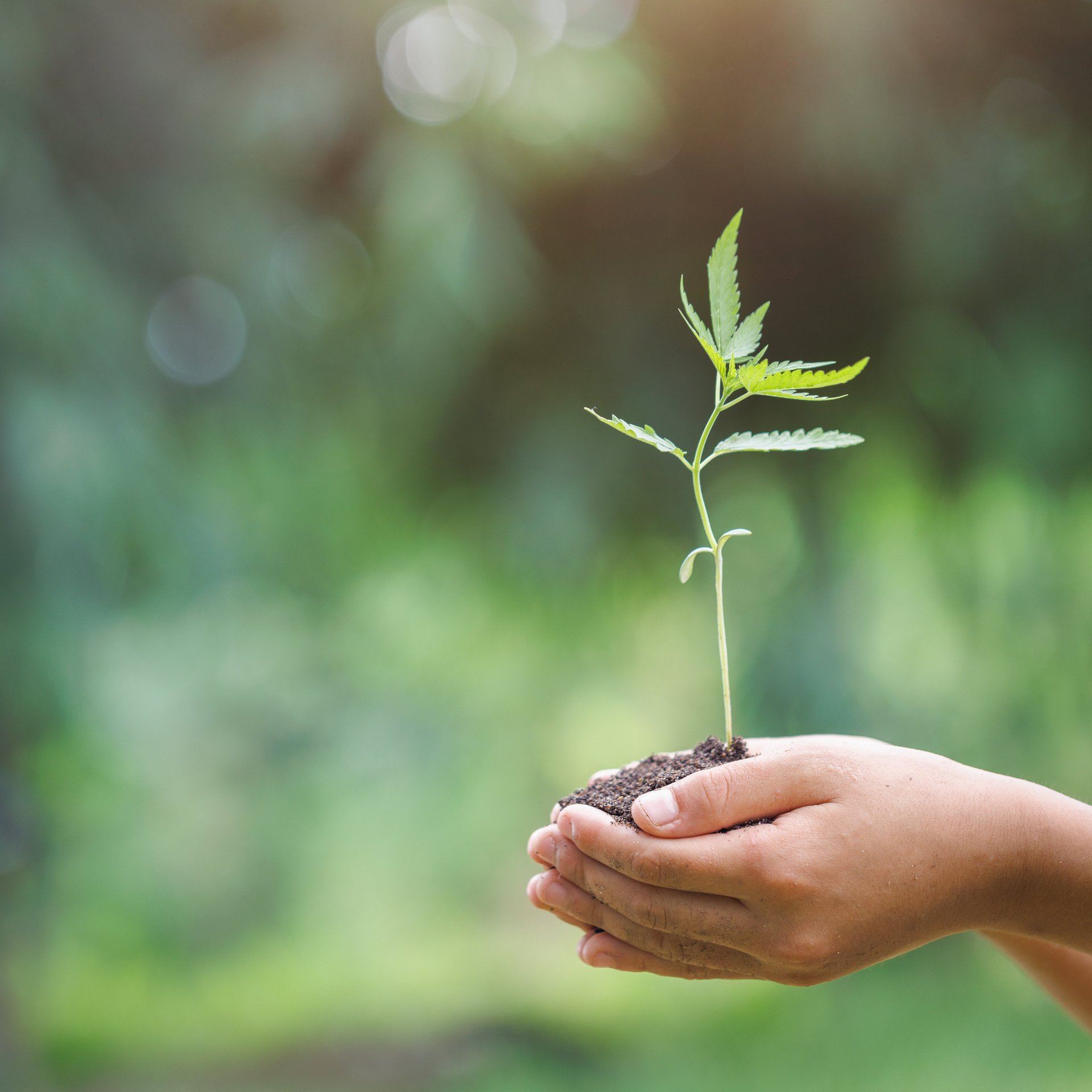 Nous nous engageons pour une production durable et la protection du climat - Colasit