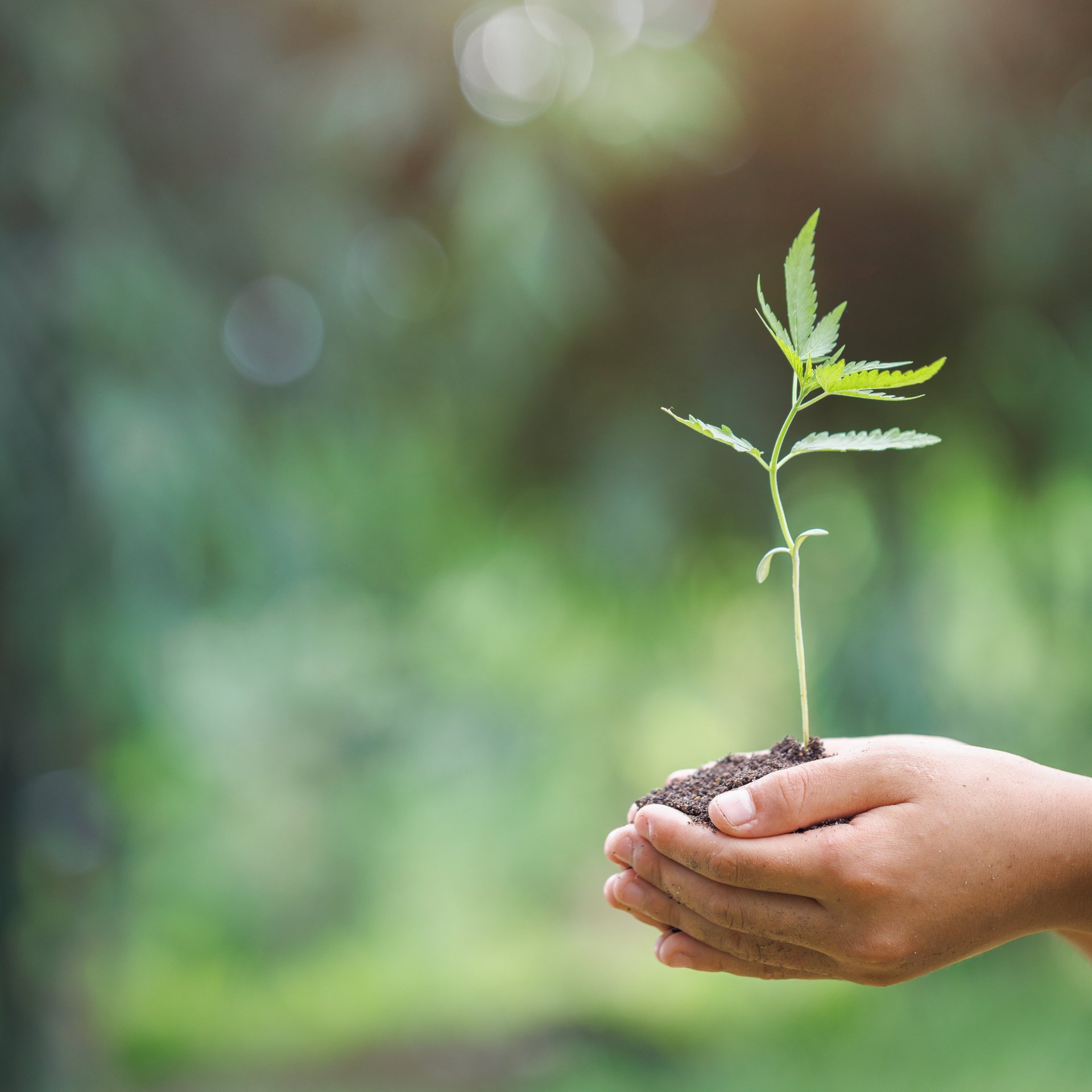 Sustainability approach in production and climate protection - Colasit