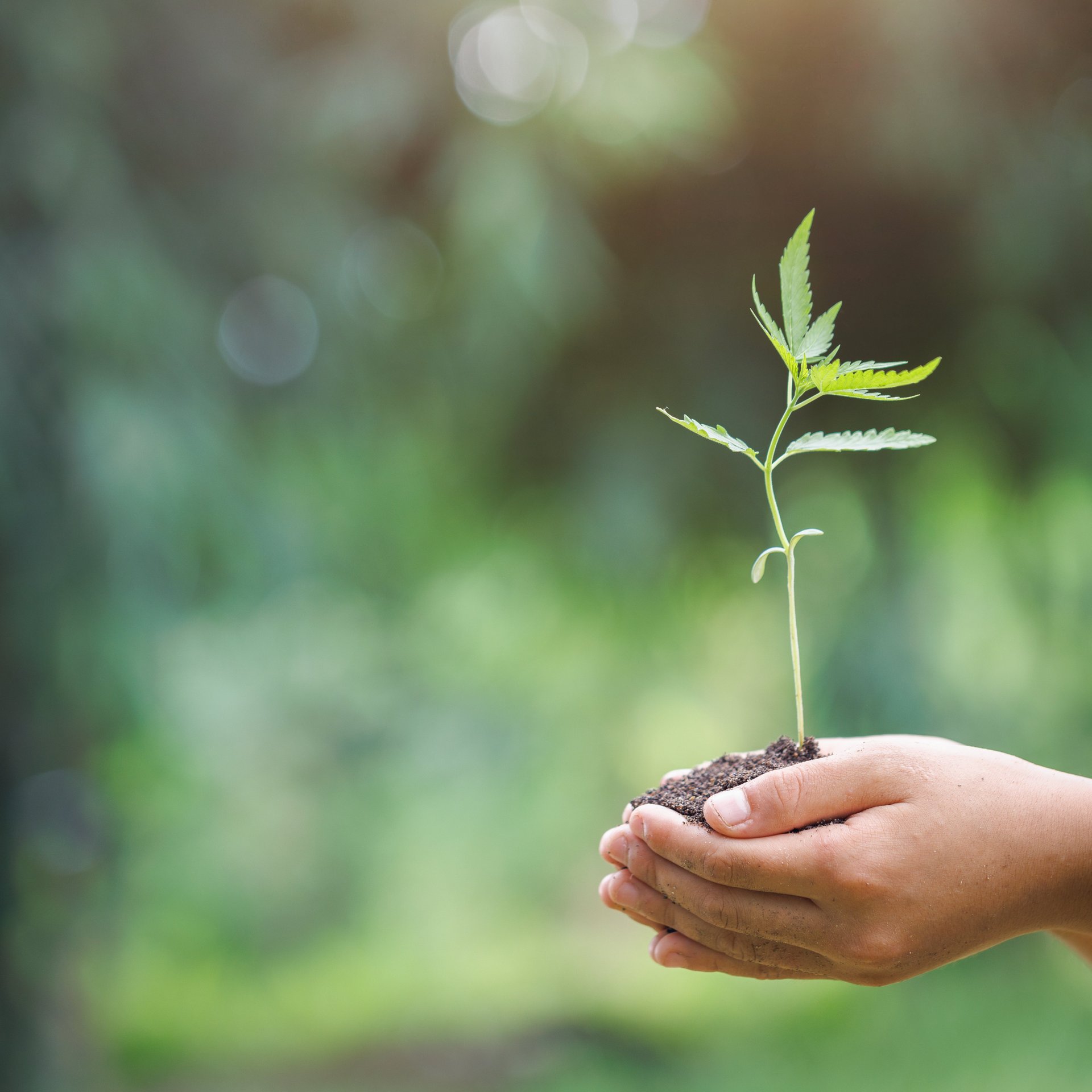 Sustainability approach in production and climate protection - Colasit