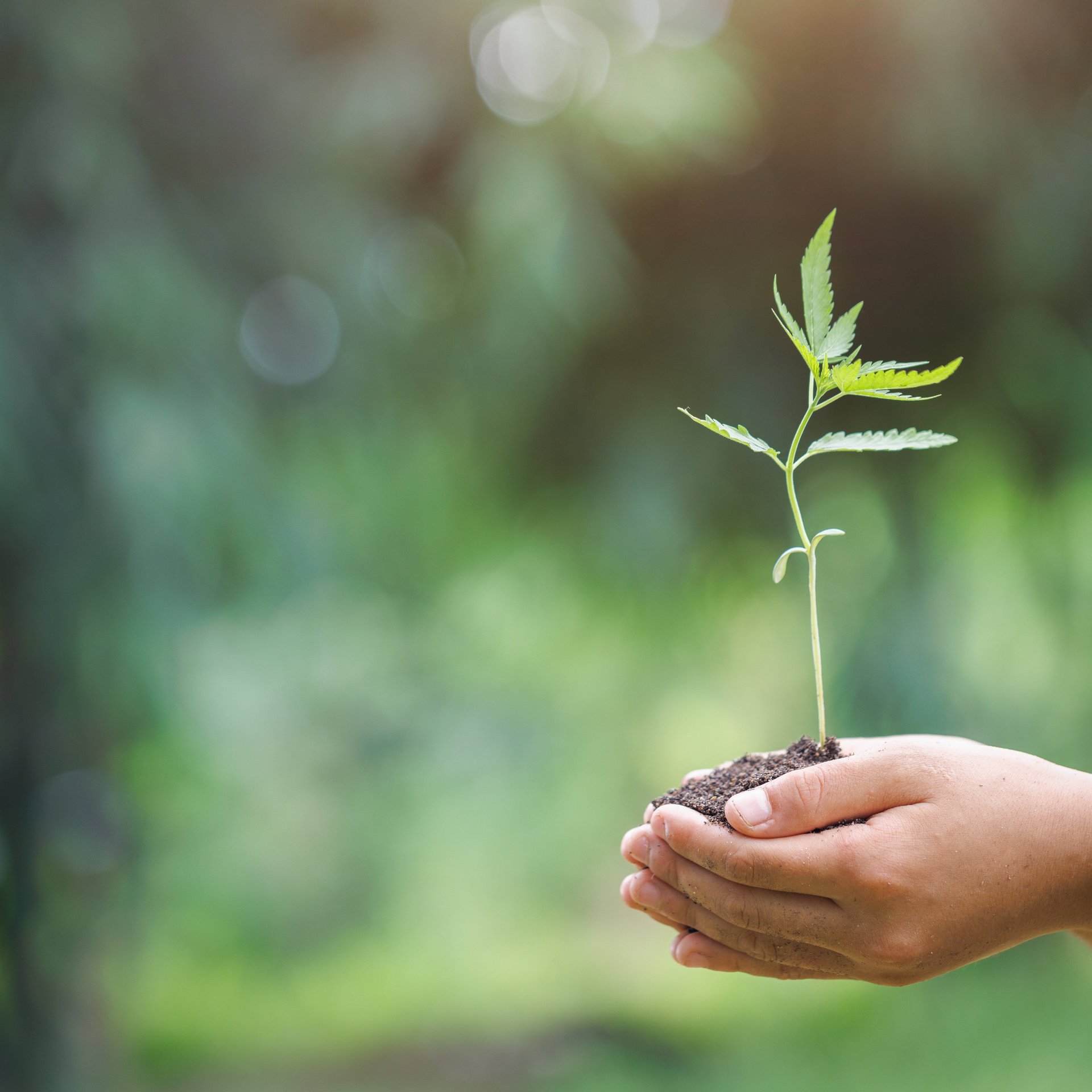 Nous nous engageons pour une production durable et la protection du climat - Colasit