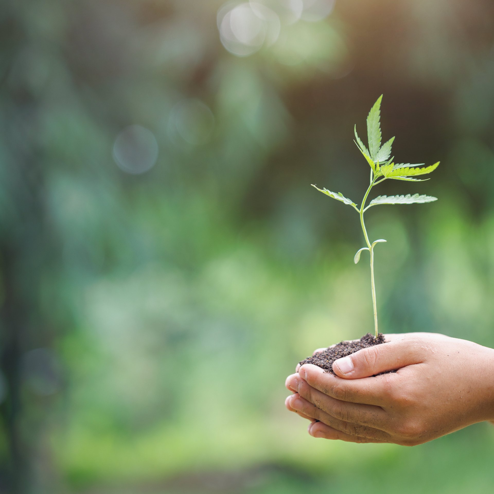 Sustainability approach in production and climate protection - Colasit