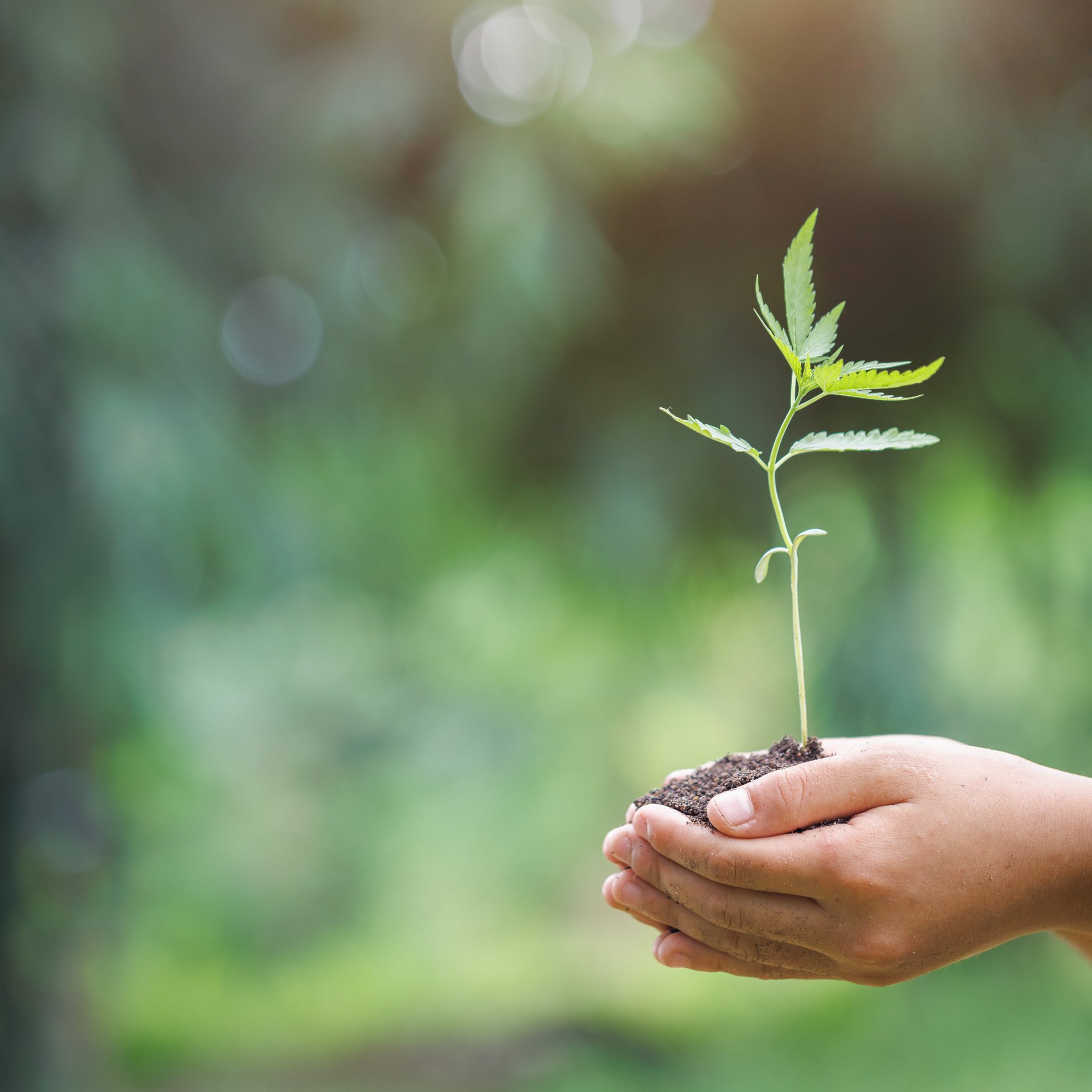 Nous nous engageons pour une production durable et la protection du climat - Colasit