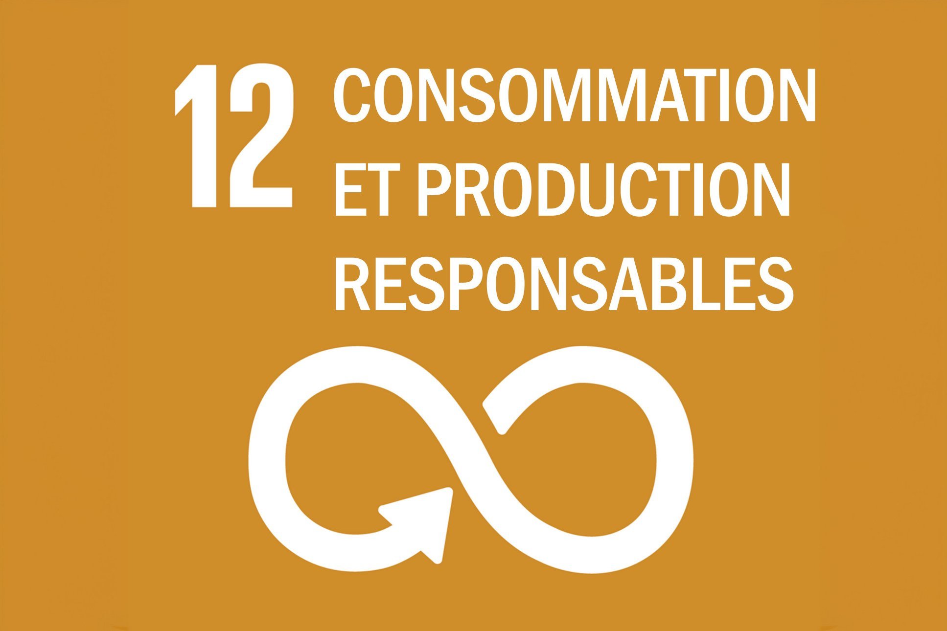Nous adhérons à l’objectif des Nations unies pour une production durable - Colasit