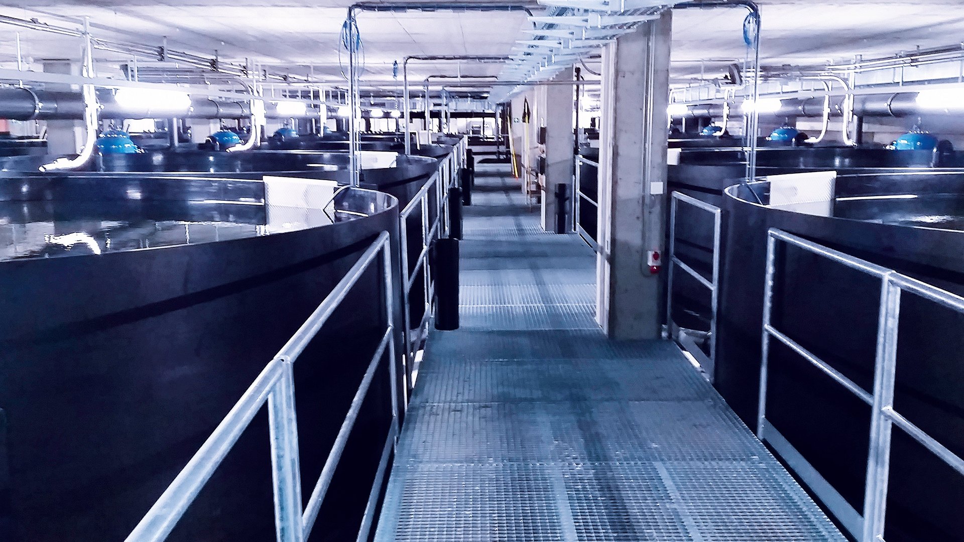 Fischzuchtanlage in Kunststoff PE für Frischwasser Fischzucht - Colasit