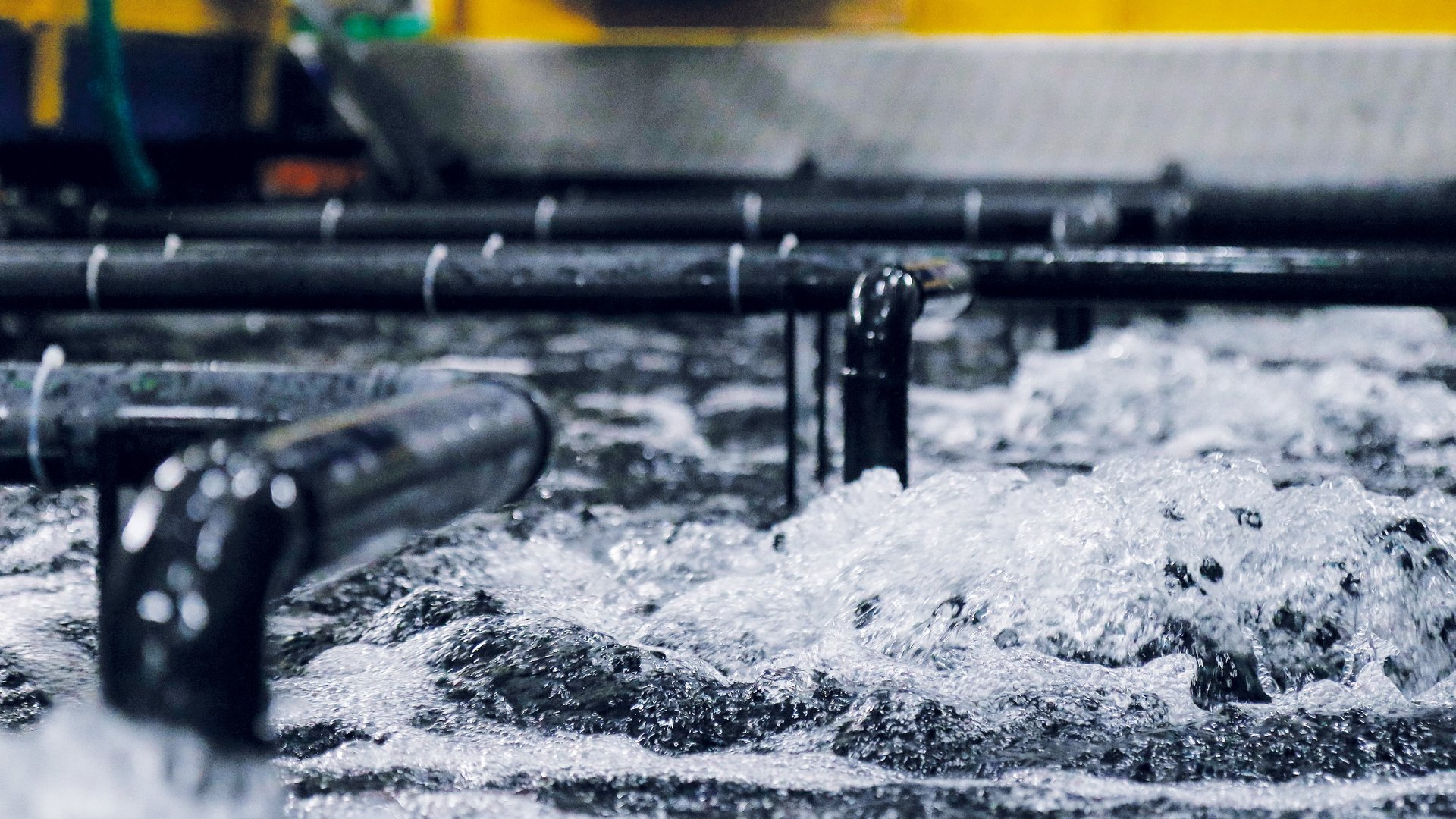 Aquaculture plants for sustainable fish breeding and breeding shellfish and water plants - Colasit