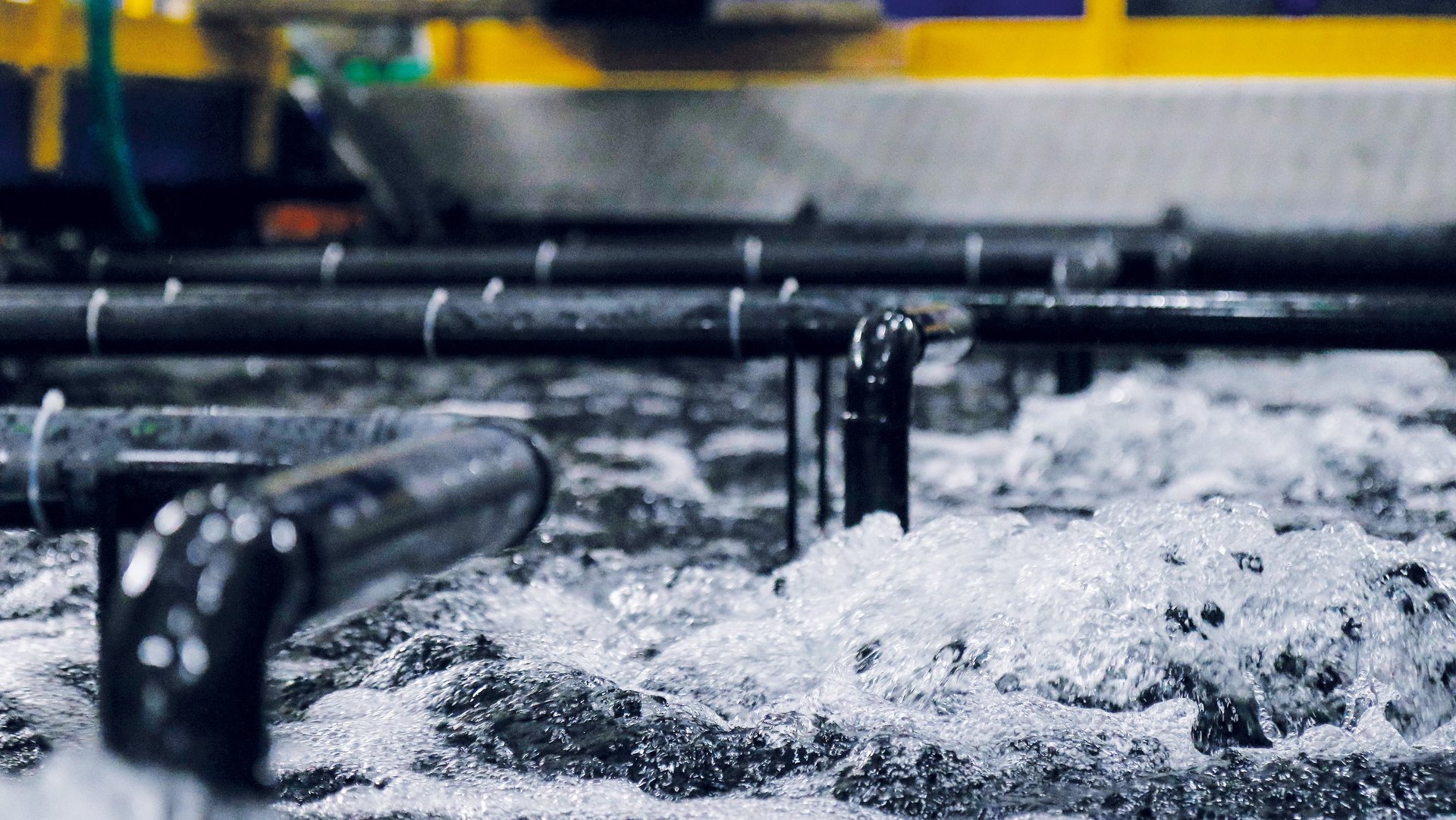 Aquakulturanlagen aus Kunststoff PP für eine nachhaltige Fischzucht und Zucht von Meeresfrüchten und Wasserpflanzen - Colasit