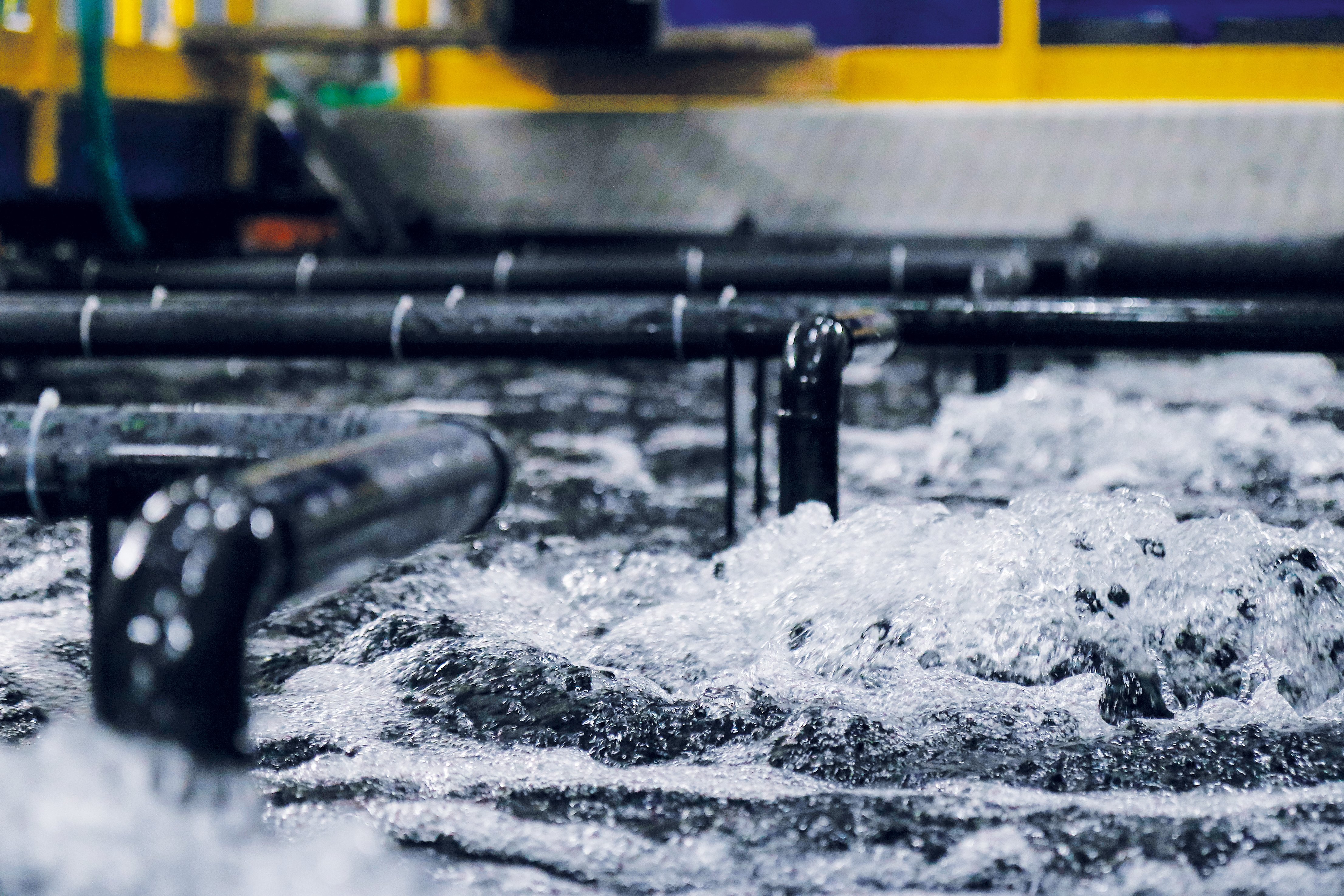 Aquaculture plants for sustainable fish breeding and breeding shellfish and water plants - Colasit