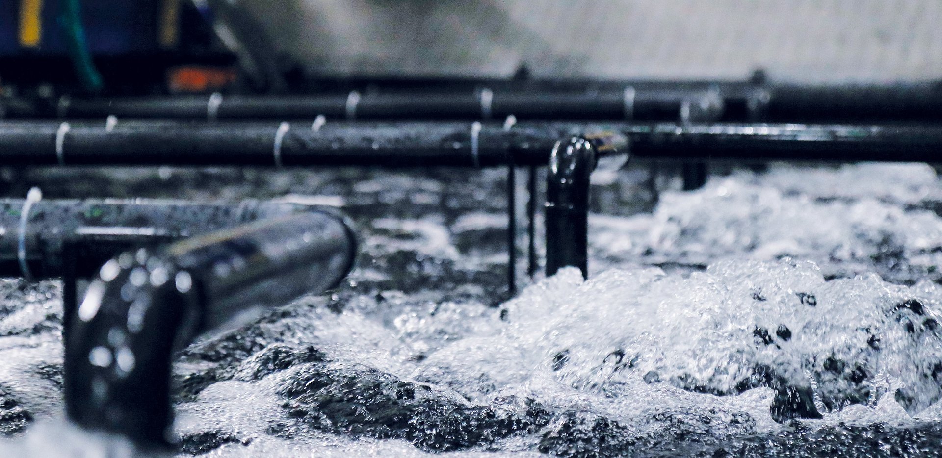 Colasit Additional equipment in farming facilities for fish and seafood